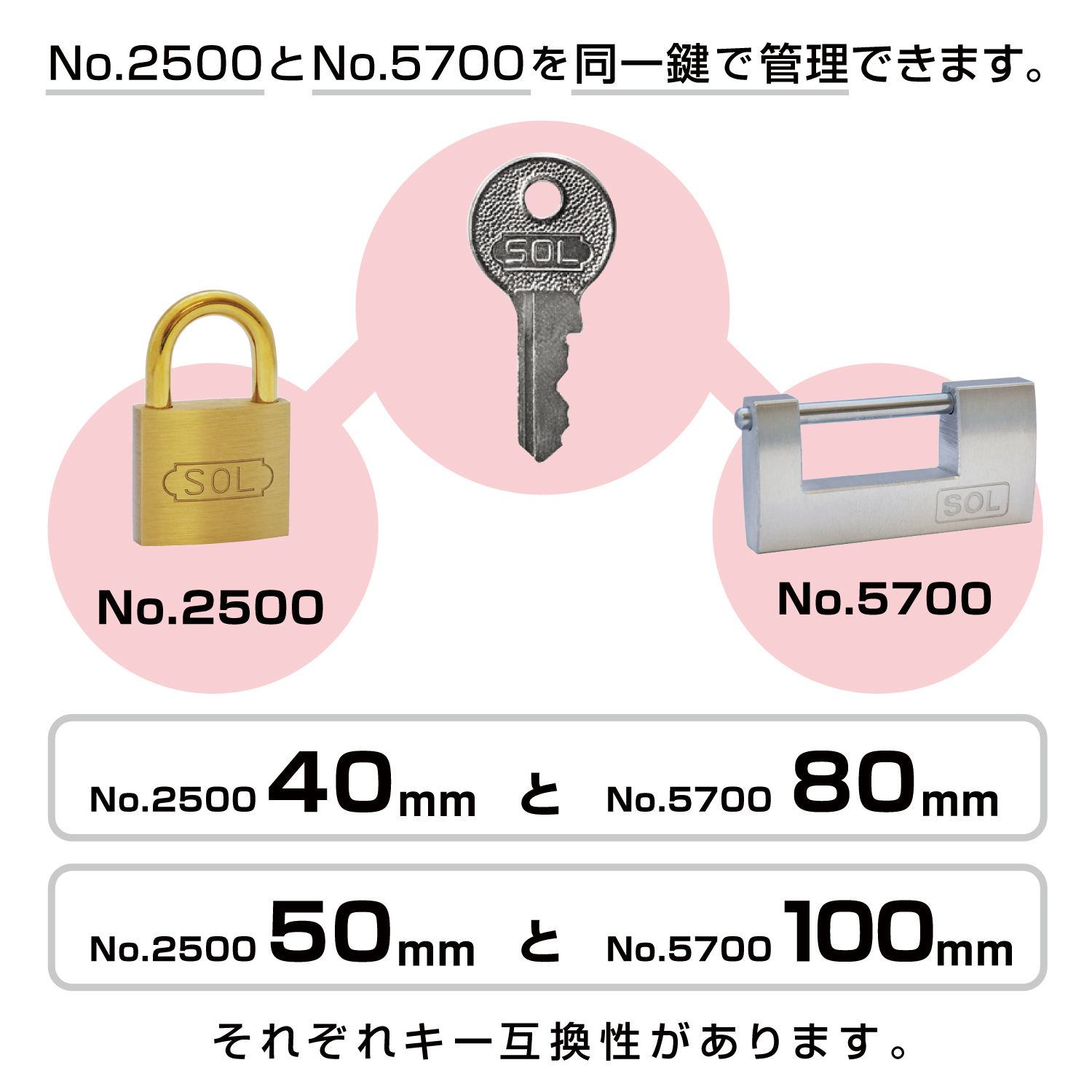 No.5700 アルミ倉庫錠 | 清水株式会社 No.5700 アルミ倉庫錠 | 清水株式会社